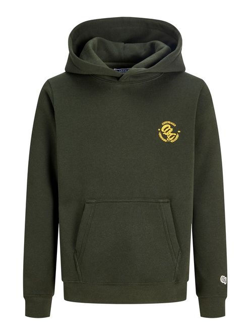Hovedbilde Jack & Jones Junior Frederiksberg Hettegenser Med ...