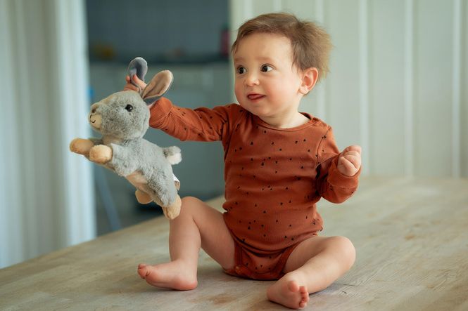 Hovedbilde Jumper - Grå Hare (23Cm)