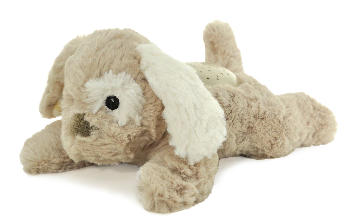 Dream Buddies - Valp